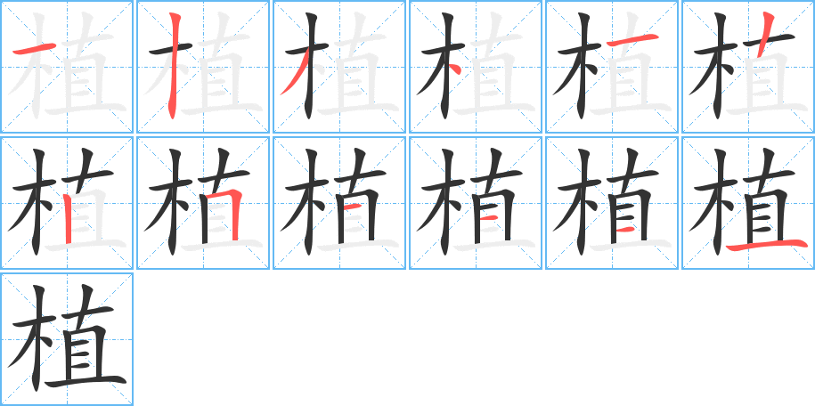 植的笔画顺序