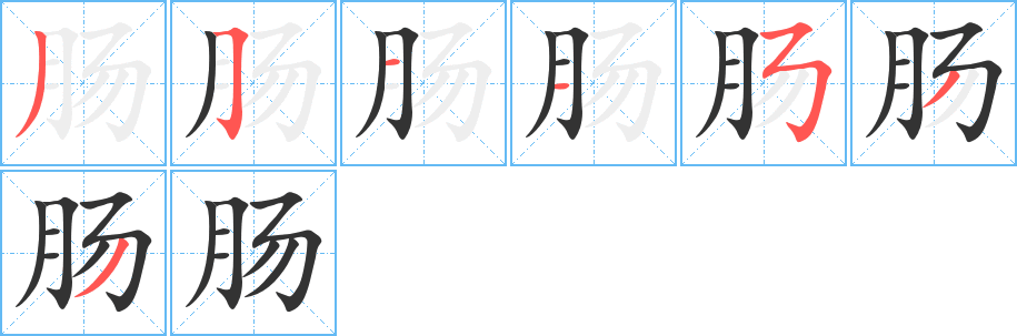 肠的笔画顺序