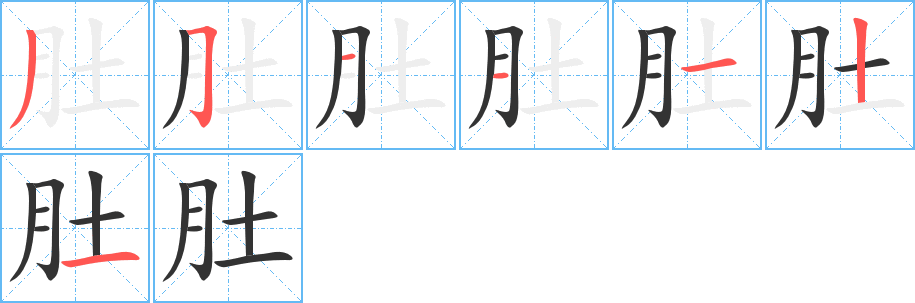 肚的笔画顺序