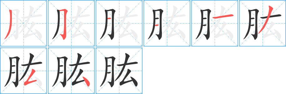 肱的笔画顺序