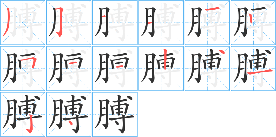 膊的笔画顺序